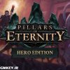 Pillars of Eternity Hero Edition Steam KEY RU
