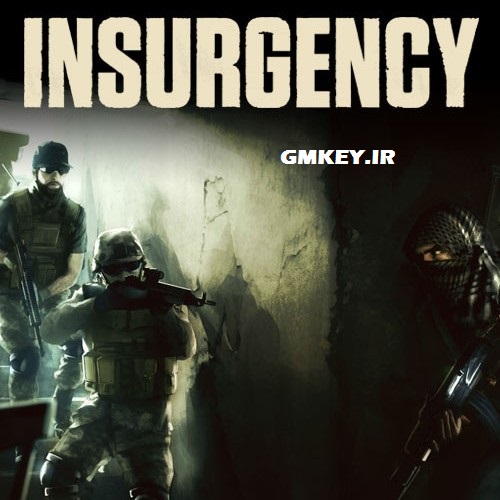 Insurgency Steam Gift